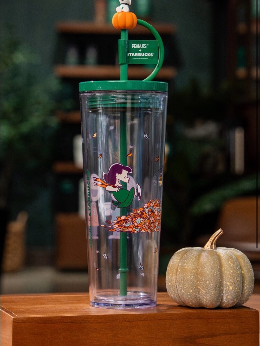 Starbucks x Peanuts 2026 Snoopy Fall Leaf Pile Cold Tumbler Cup 24 oz